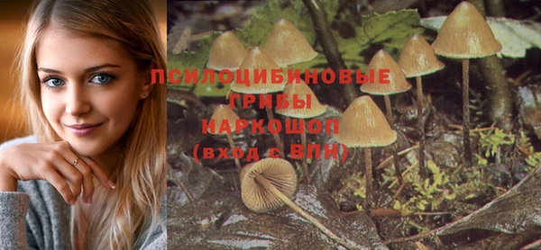 прущий лед Балахна