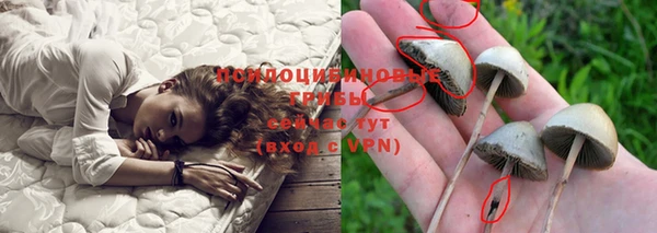 МДМА Белокуриха